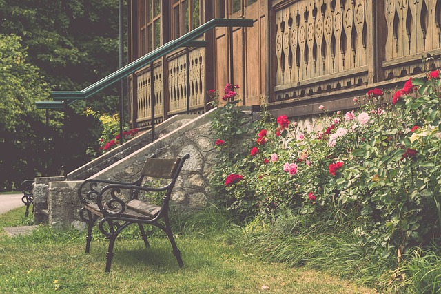 他们的敏锐 他们的敏锐