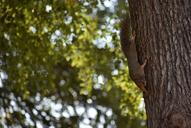 上海海港队 上海海港队