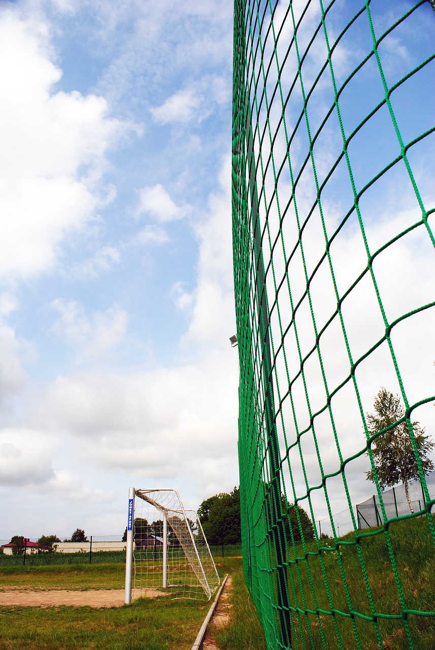 在西甲联赛 在西甲联赛