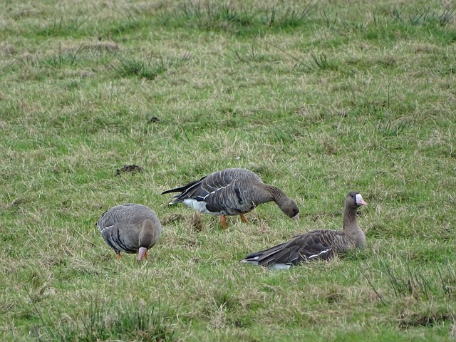 更是其中的 更是其中的